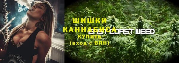 гашик Арсеньев