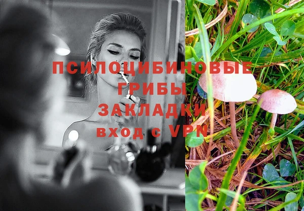 крисы Абинск