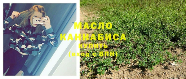 гашик Арсеньев