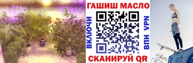 Дистиллят ТГК THC oil Шуя