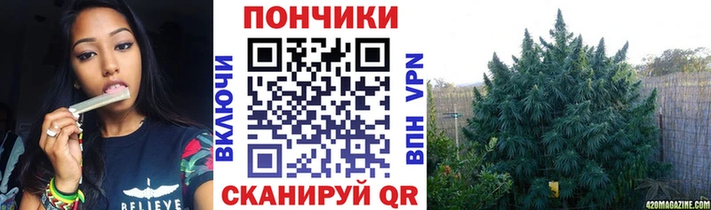 Шишки марихуана планчик  Шуя 